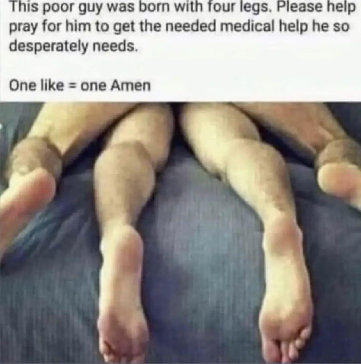 Meme