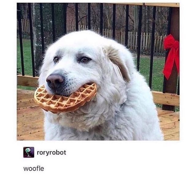 Meme