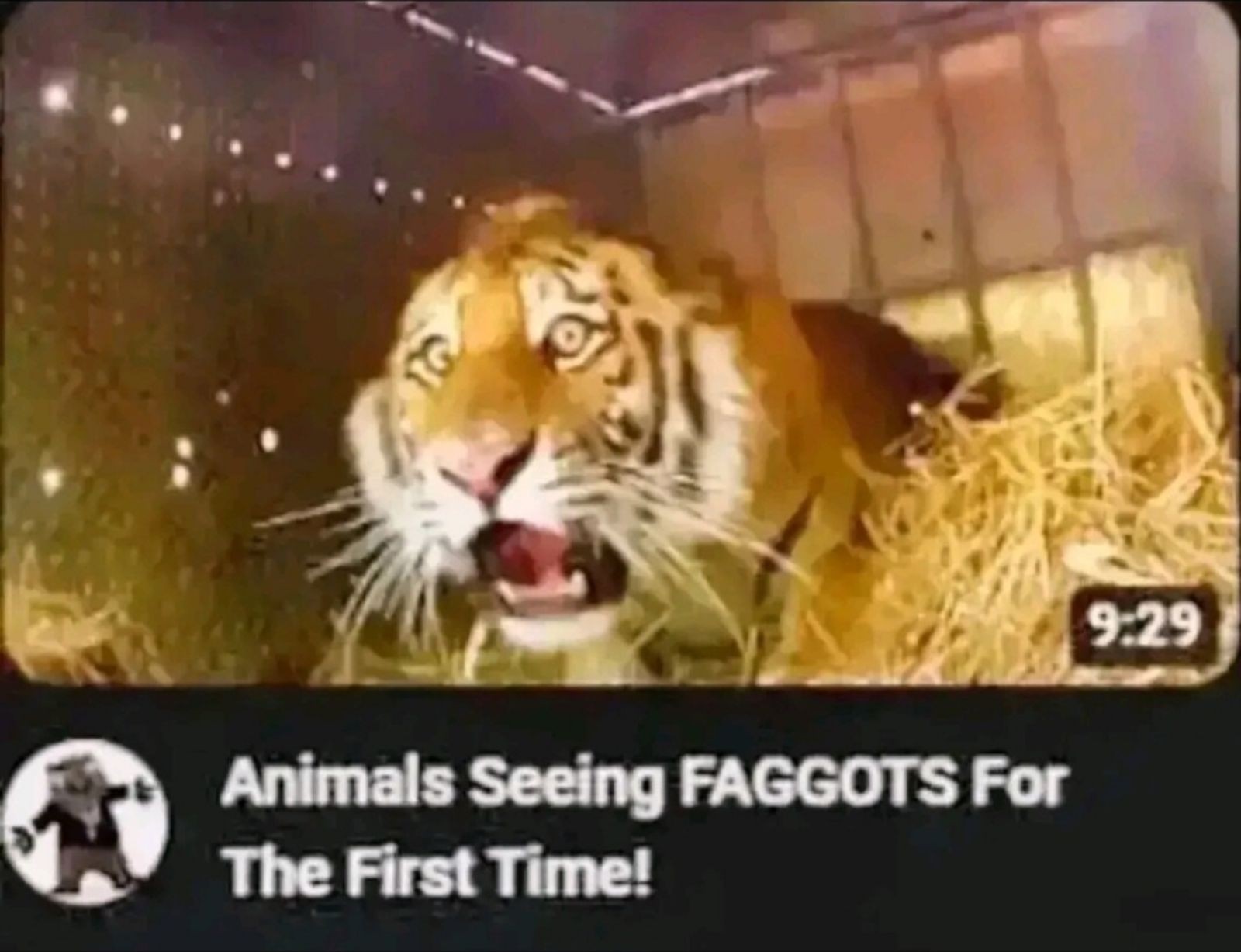 Meme