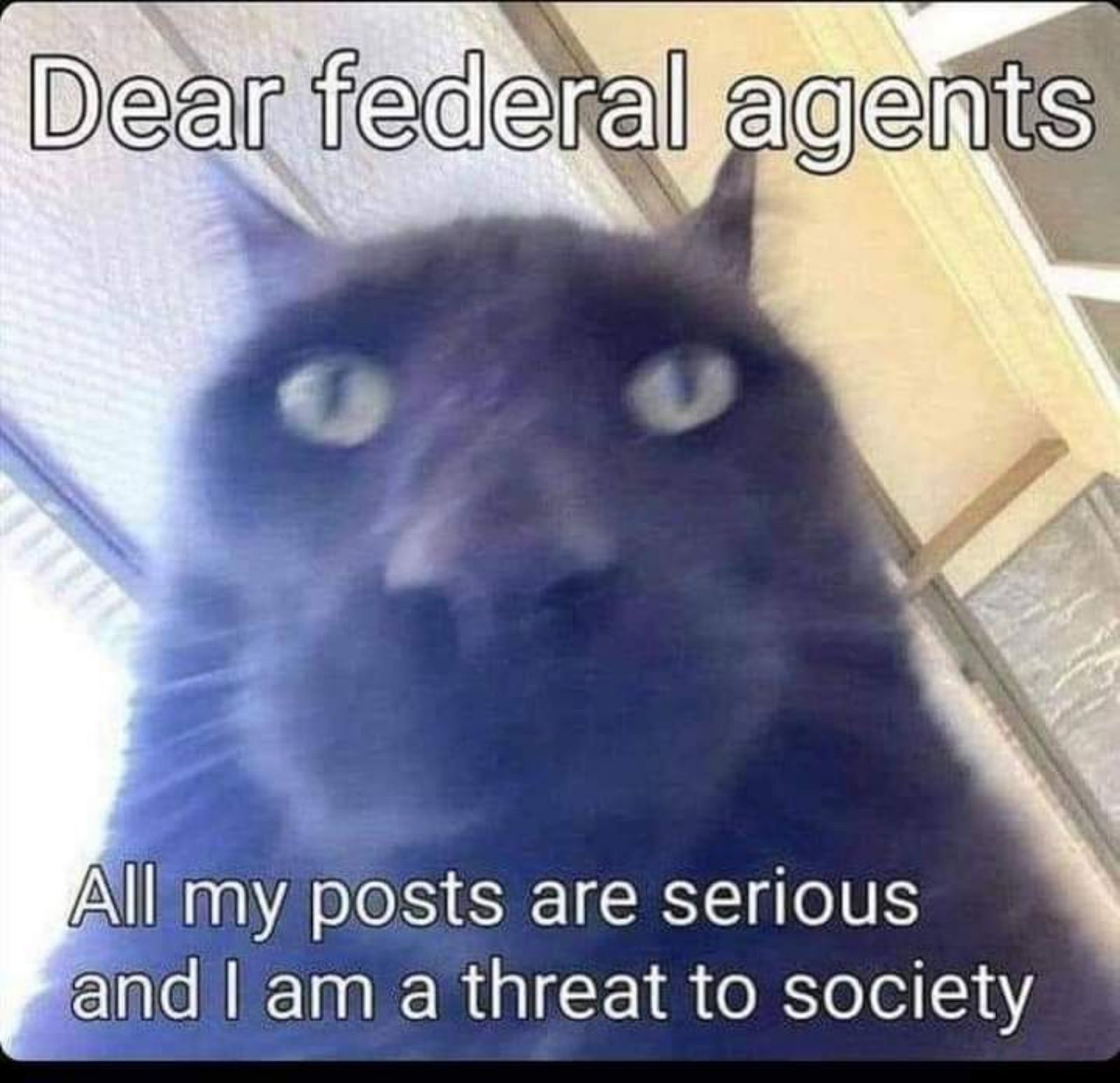 Meme