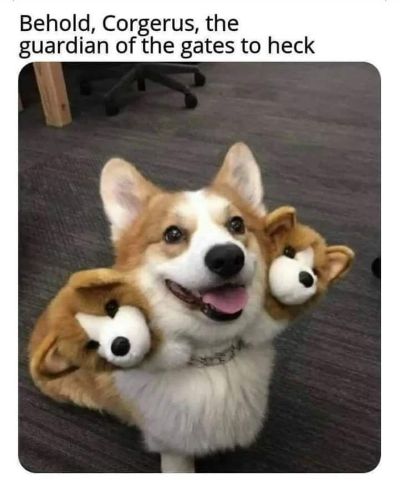 Meme