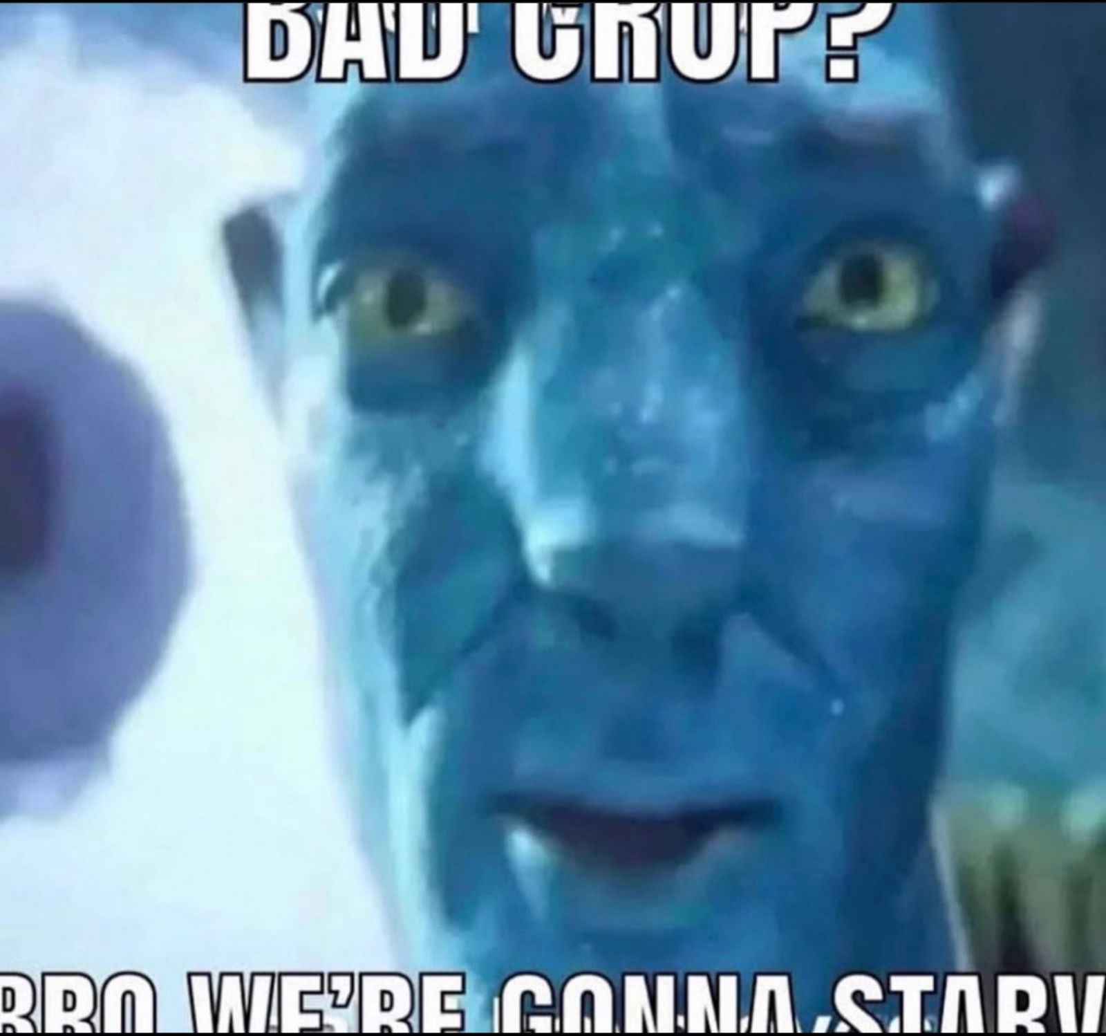 Meme