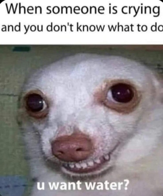 Meme